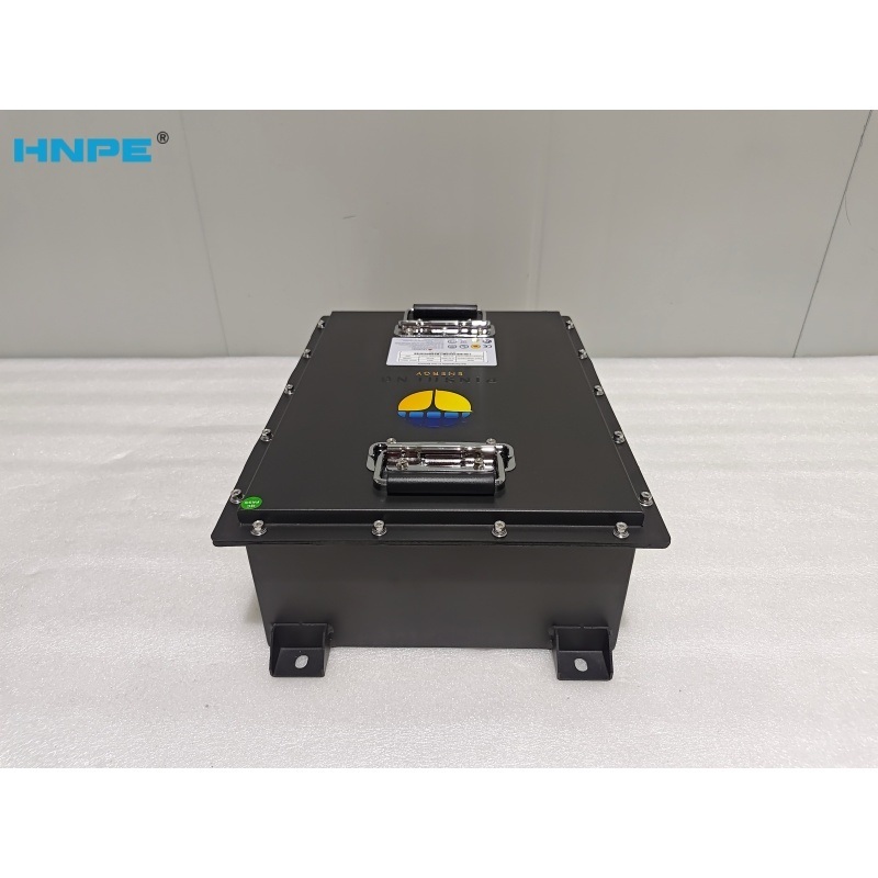 HNPE FY 2.56Kwh 5kwh Rack Mounted Lithium-ion Battery 25.6V 100AH LiFePO4 Solar Battery for Off Grid and Hybrid Grid Systems