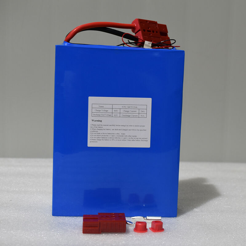 Pacco Batteria Litio Ferro Fosfato Li-ion Litio ad Alta Capacità a Ciclo Profondo per Ebike Bicicletta Elettrica Scooter 72v 40ah 5000w